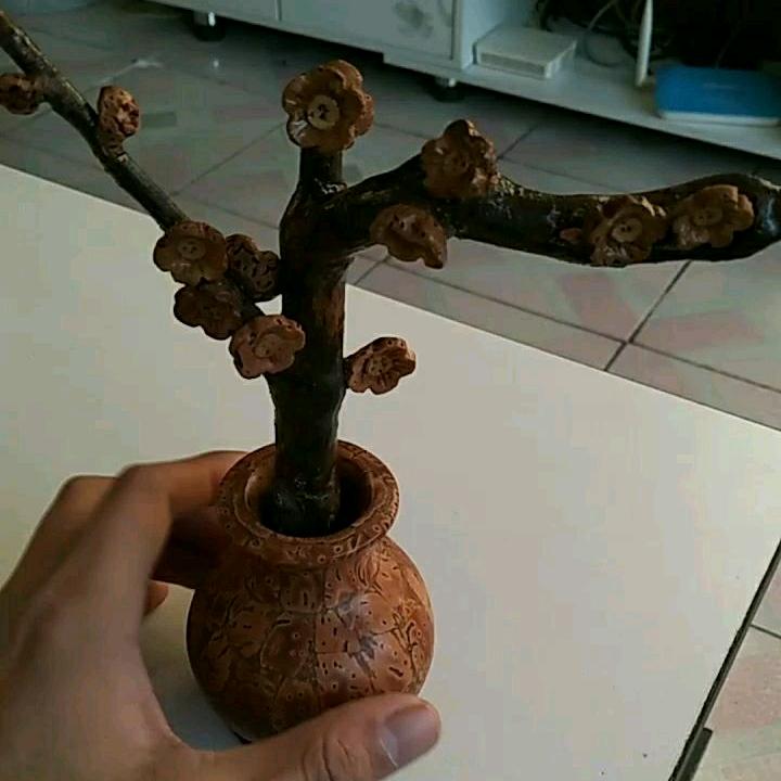 我家桃核不一样