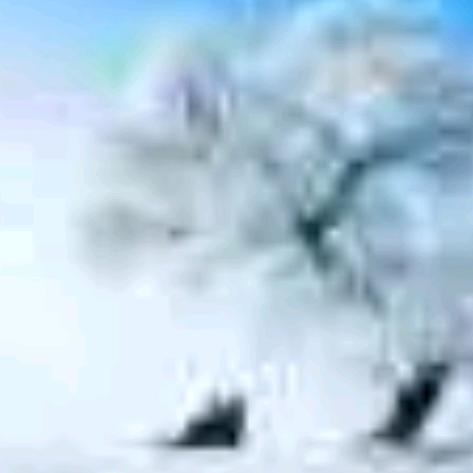 农村人uvld