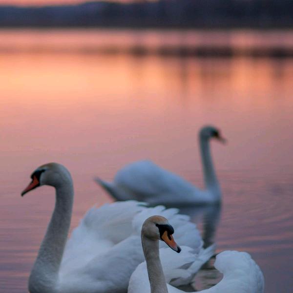 用户8759237541988一剪梅