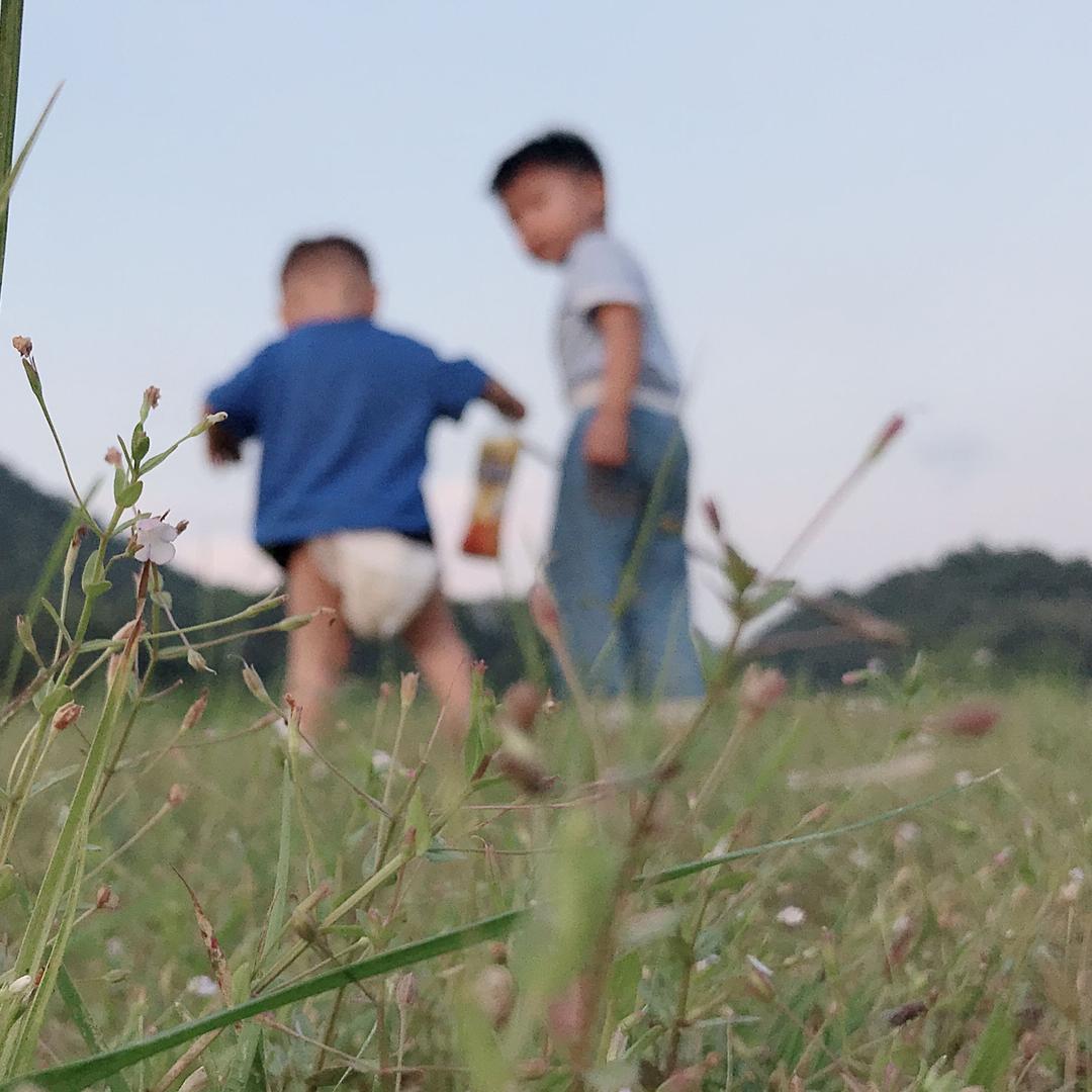 毛毛家
