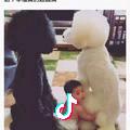 VW是一种信仰