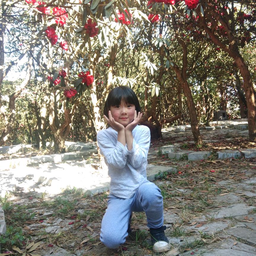 吉艾电商服务