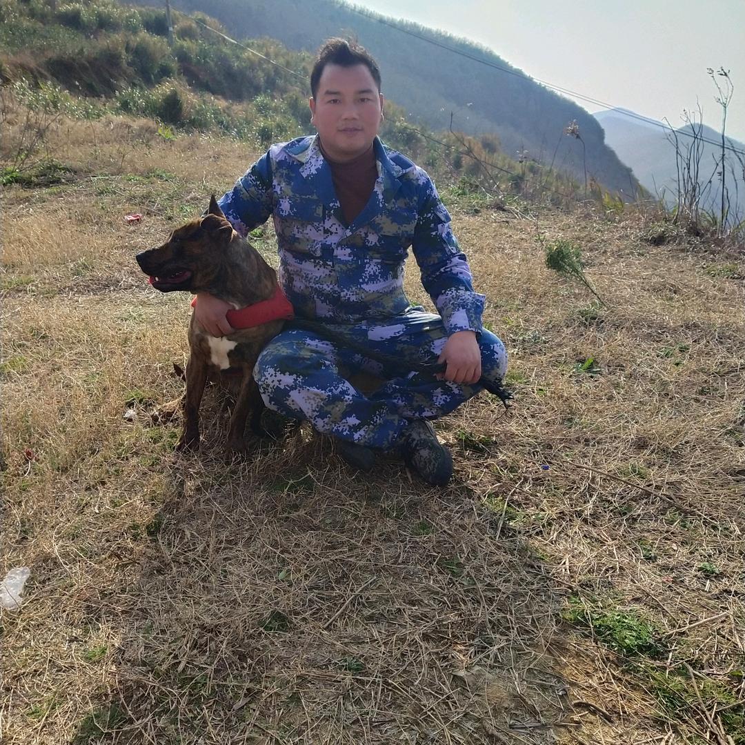 家常哥