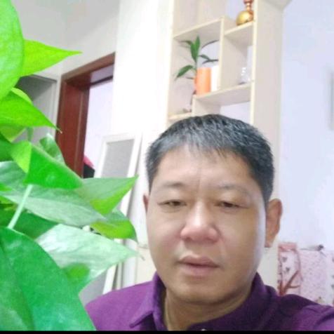 沉戮的人