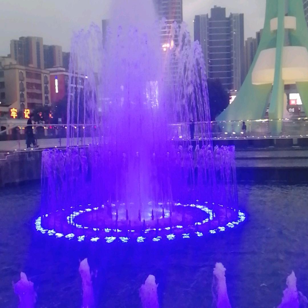 岁岁年年