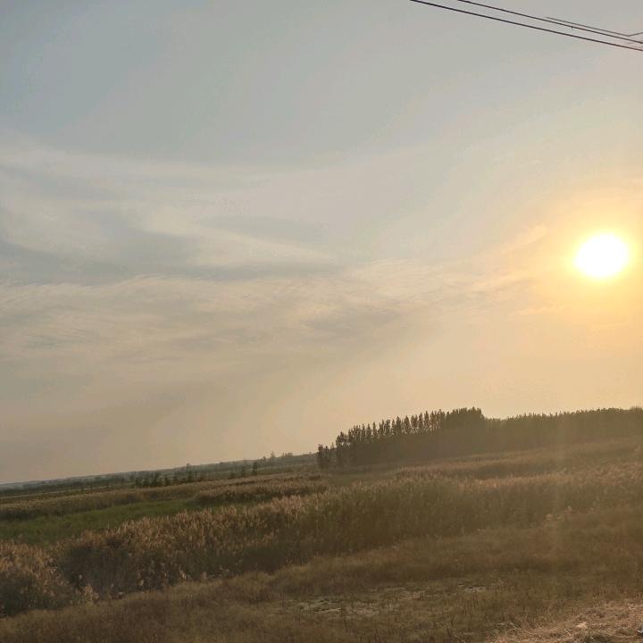 初见安好