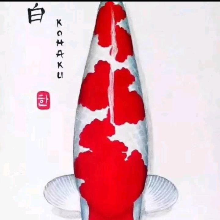 青城造园(≧∇≦)/瑞麟锦鲤