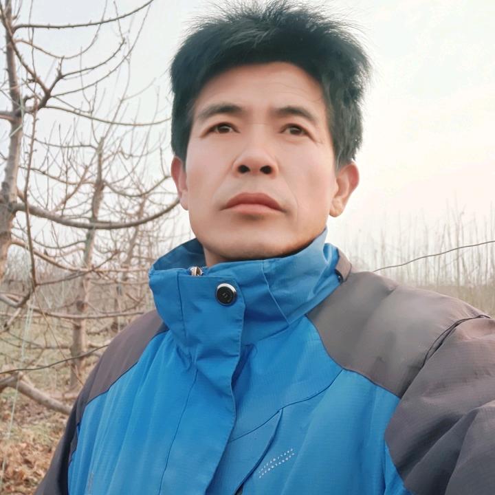 樱桃达人修剪团队
