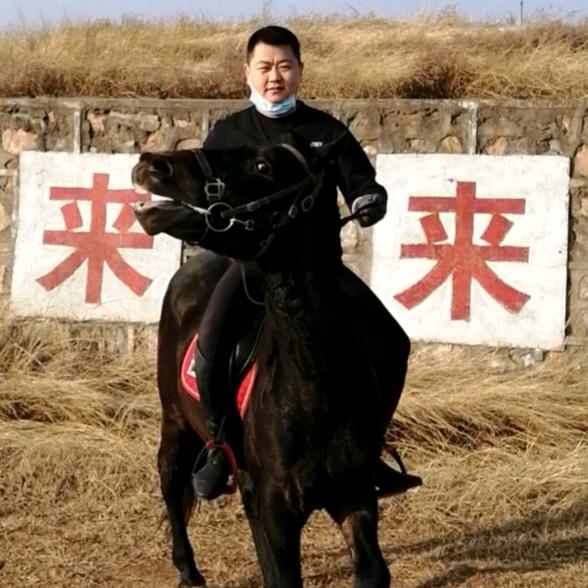 我来了