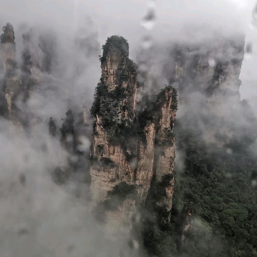 哎呦呦