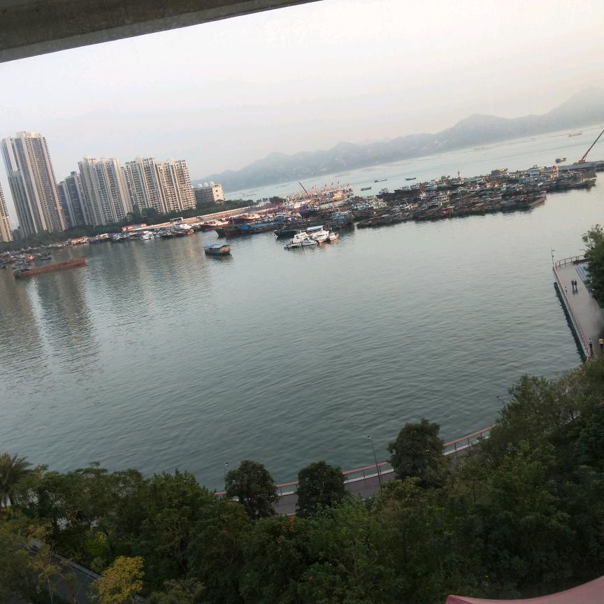 江湖野路子