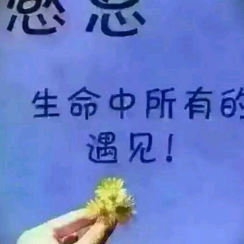 @向往未来