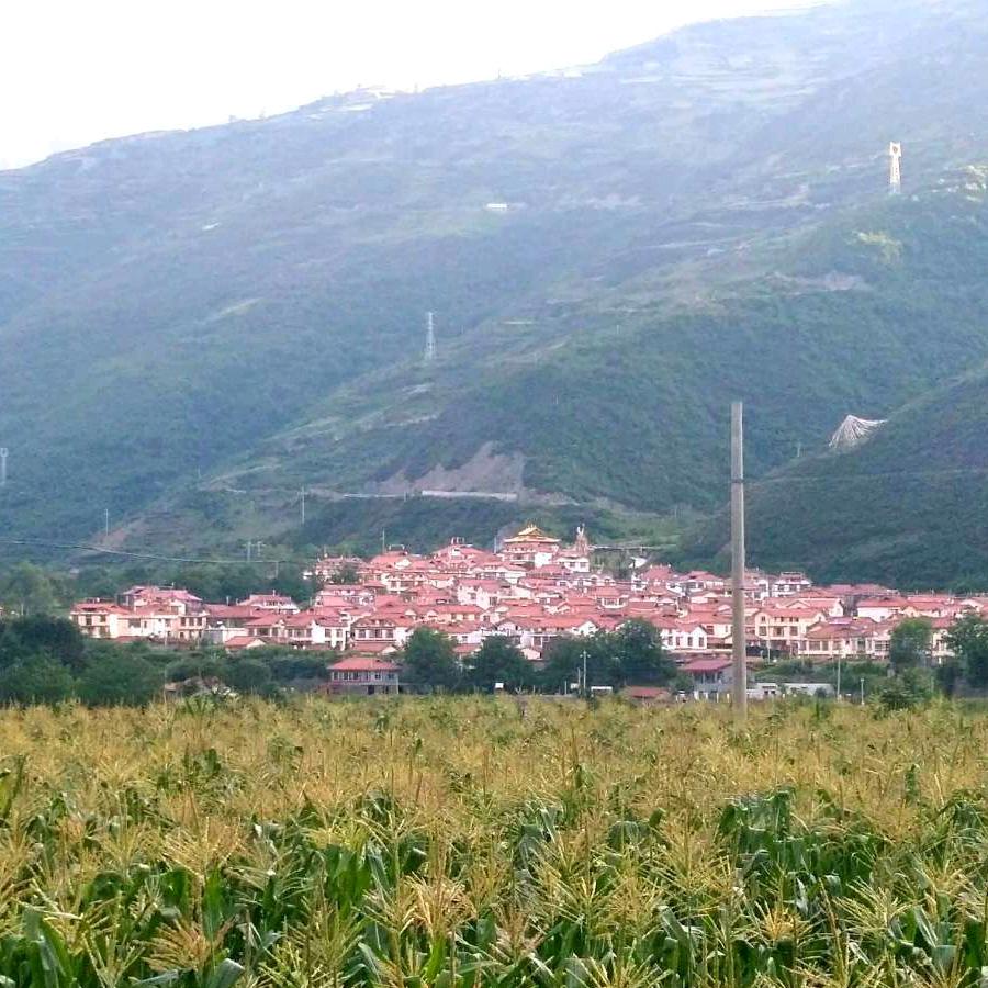 追求我的梦想成真🙏🙏🙏