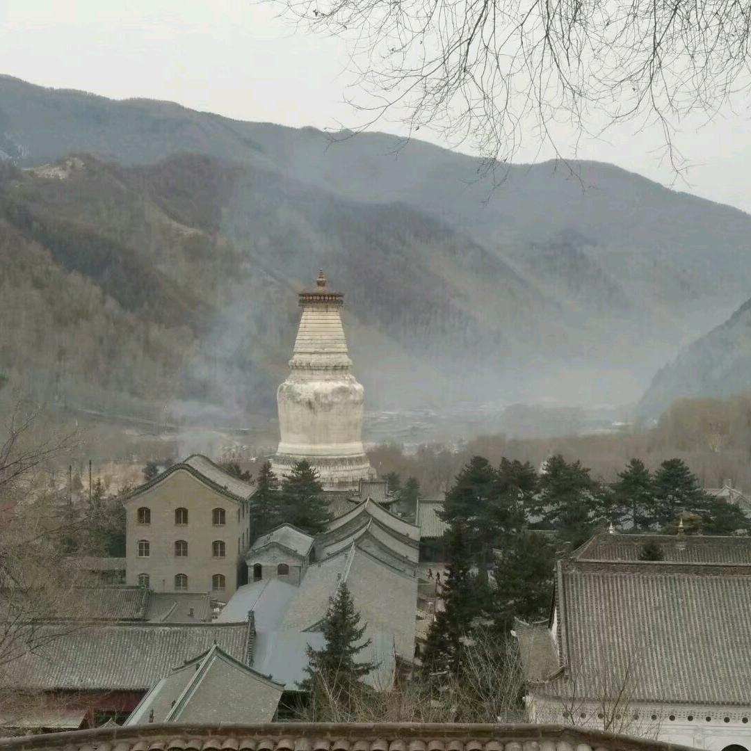 淡然最美