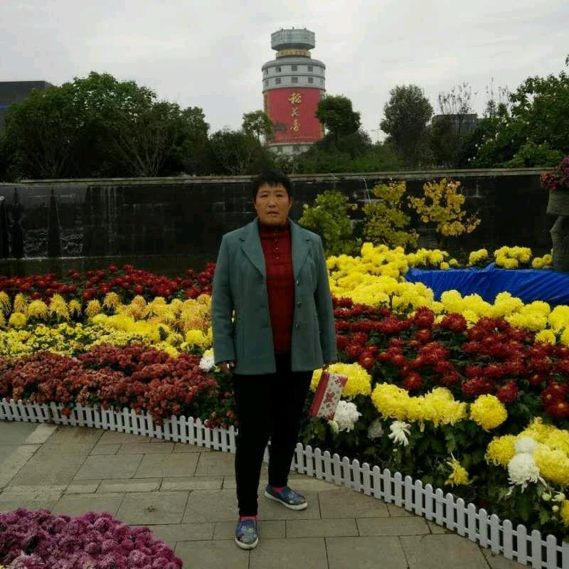 杨秀英