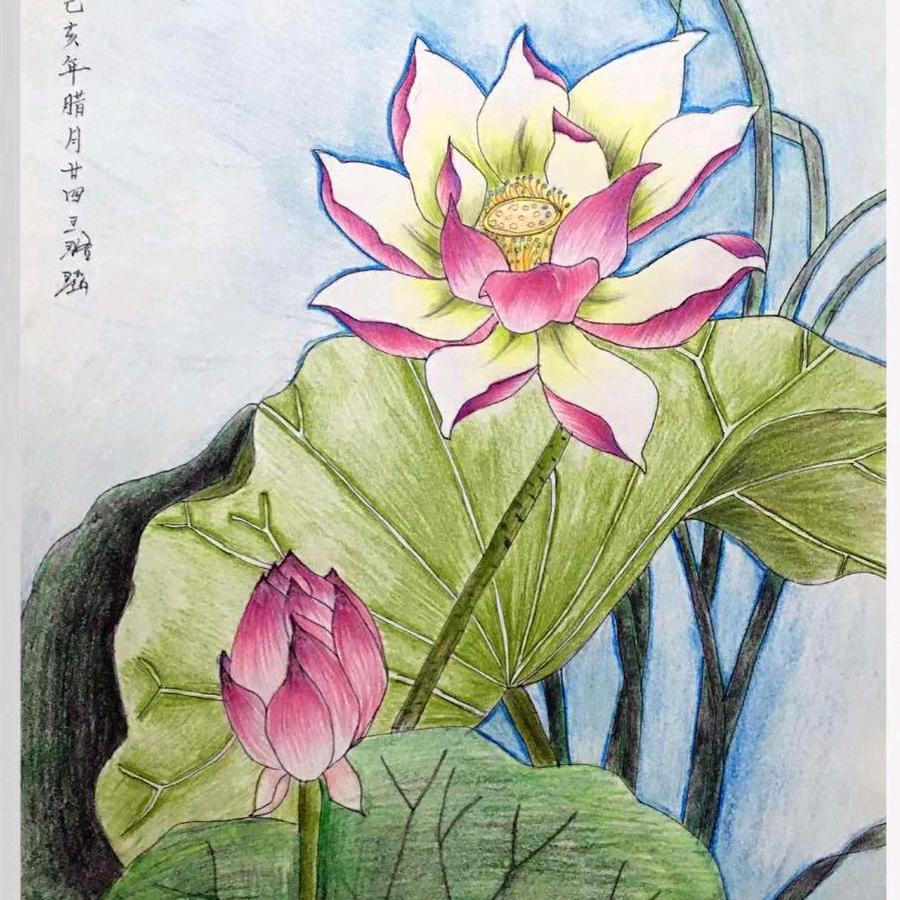 董