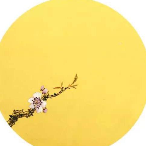 菱宝贝