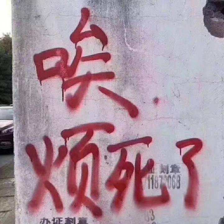 Qn君