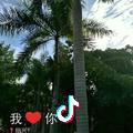 杨不悔