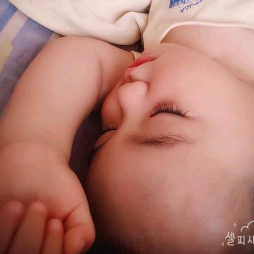 大橙子