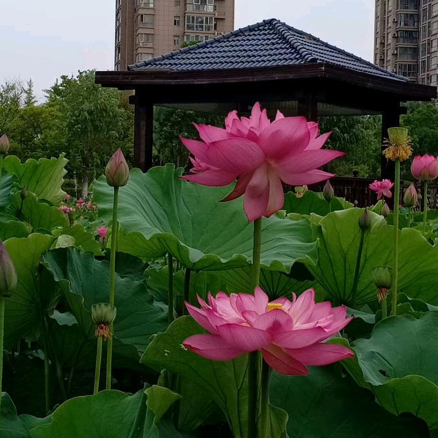 一生平安