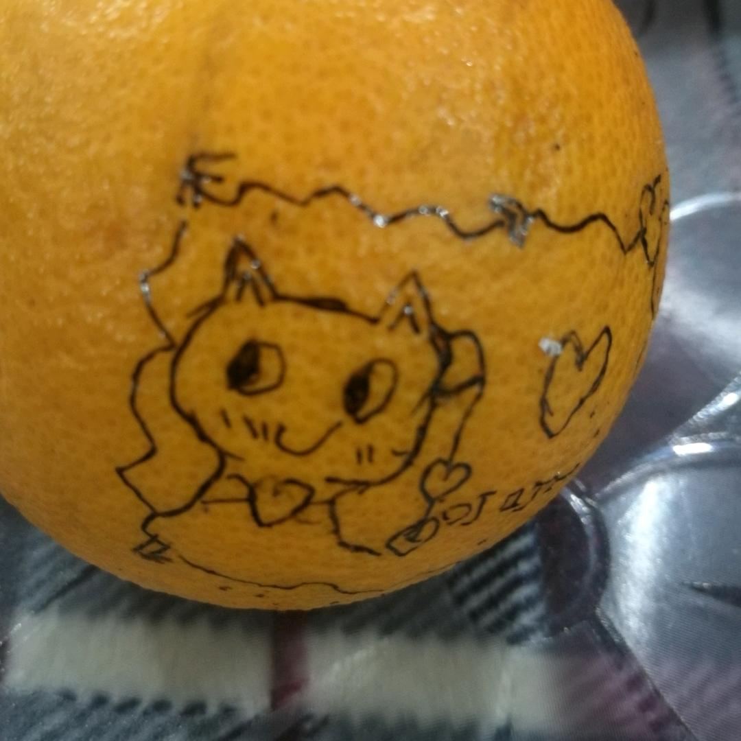 廖工