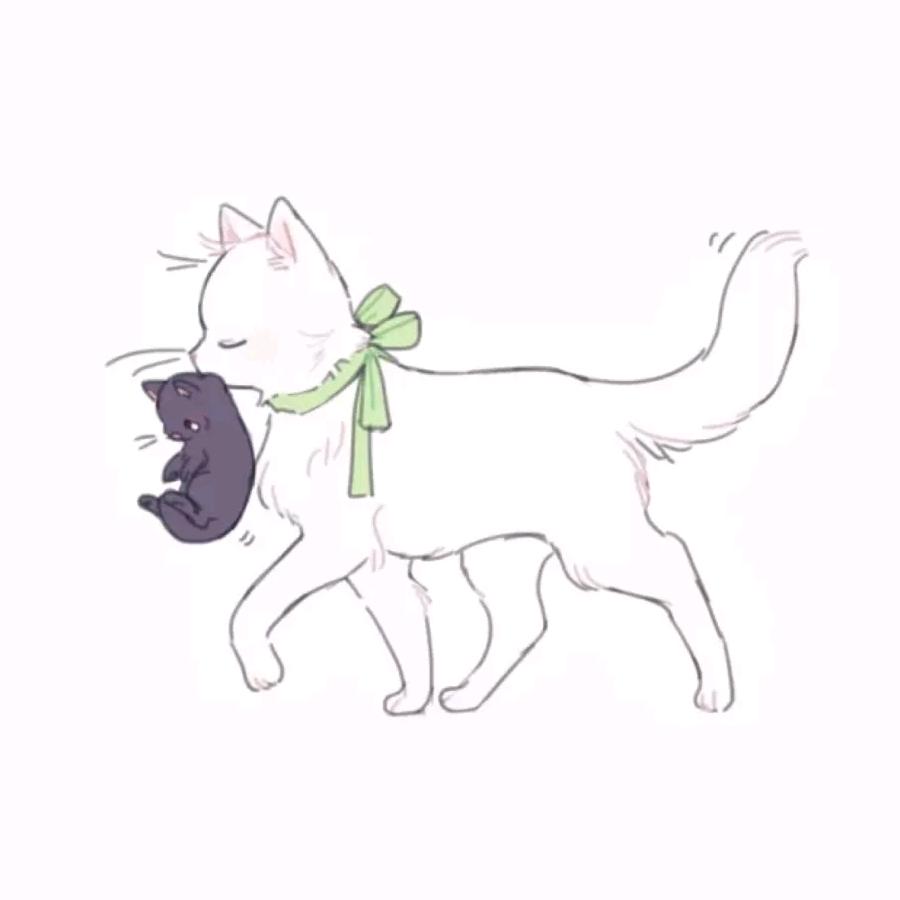 朮泽