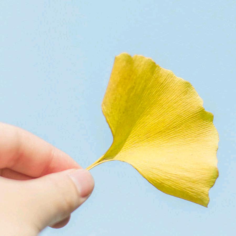 贺贺