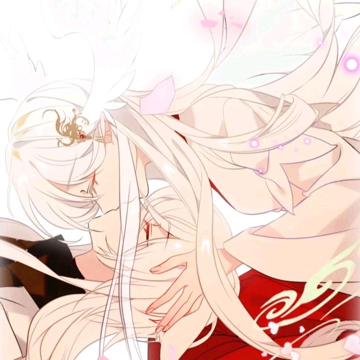 卡卡☆