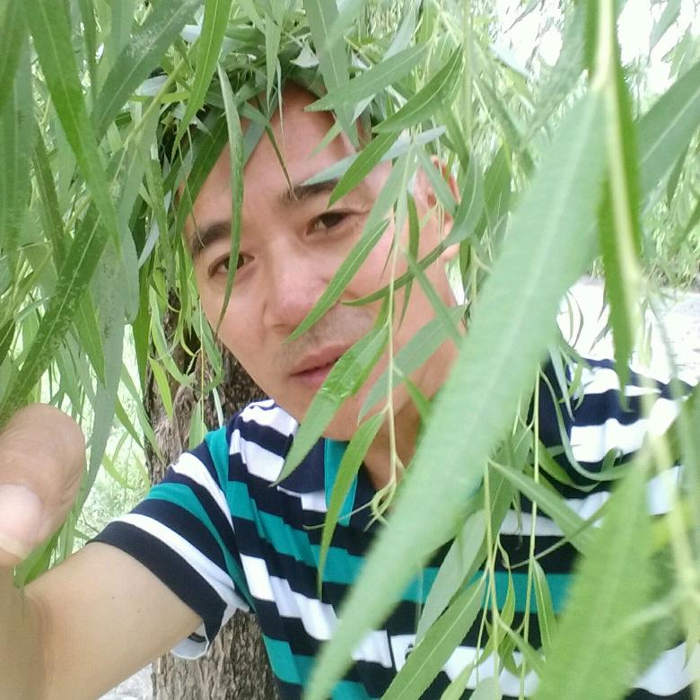 一撮毛李四