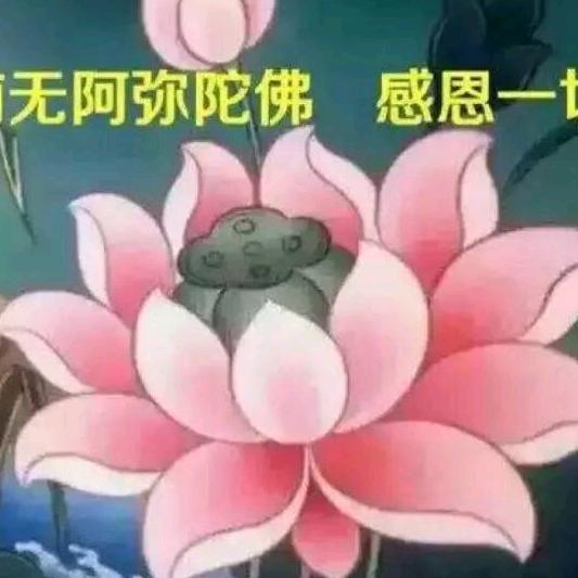 百草养发堂