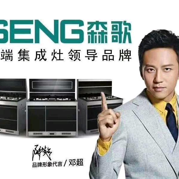 新乡森歌集成灶果果