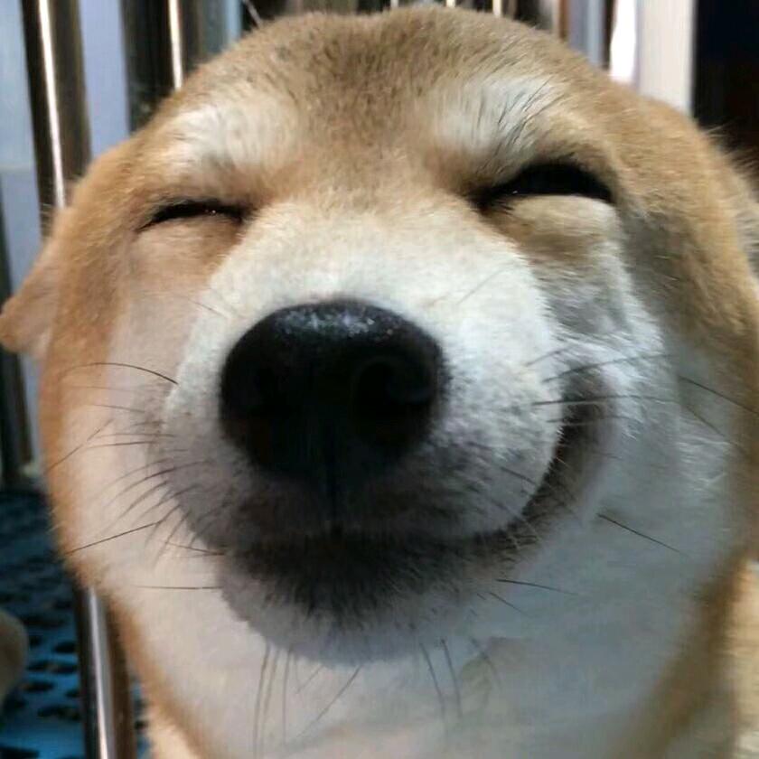 喜洋洋
