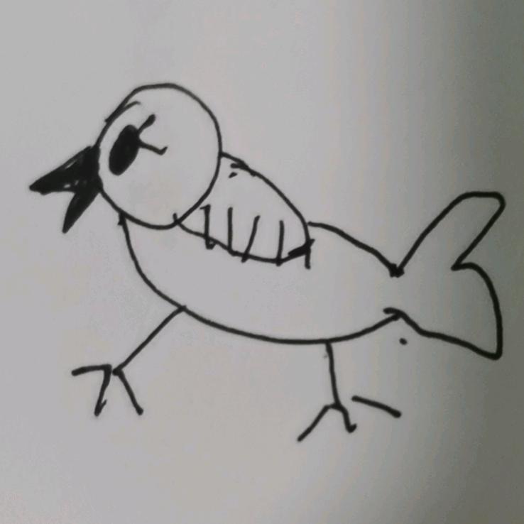 勤奋好学小天才