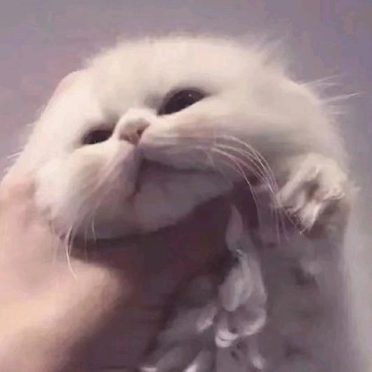 今天