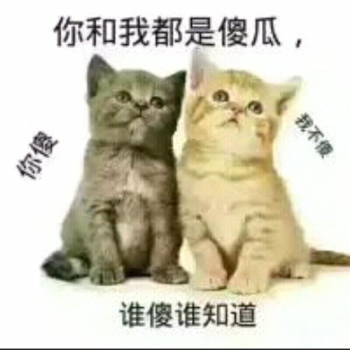 蒲