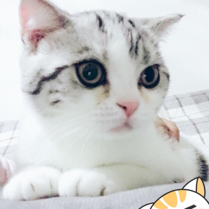 公主姥姥