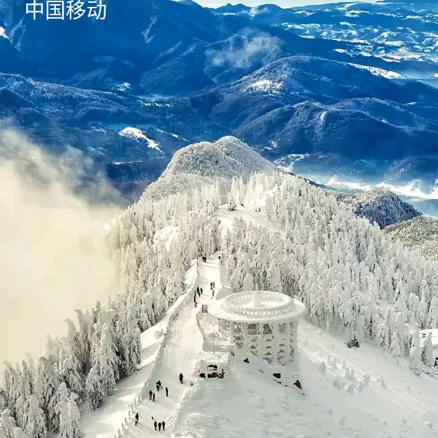高