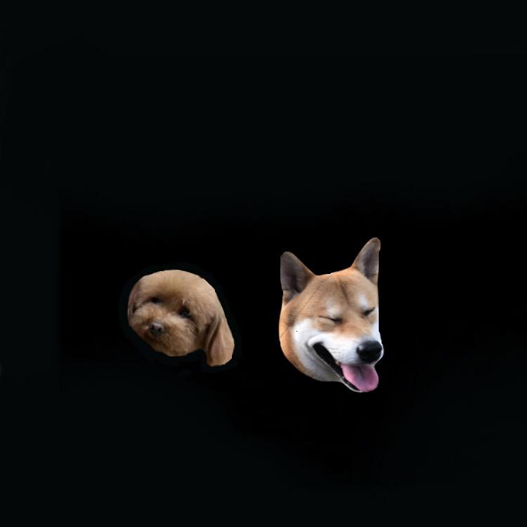 阳哥