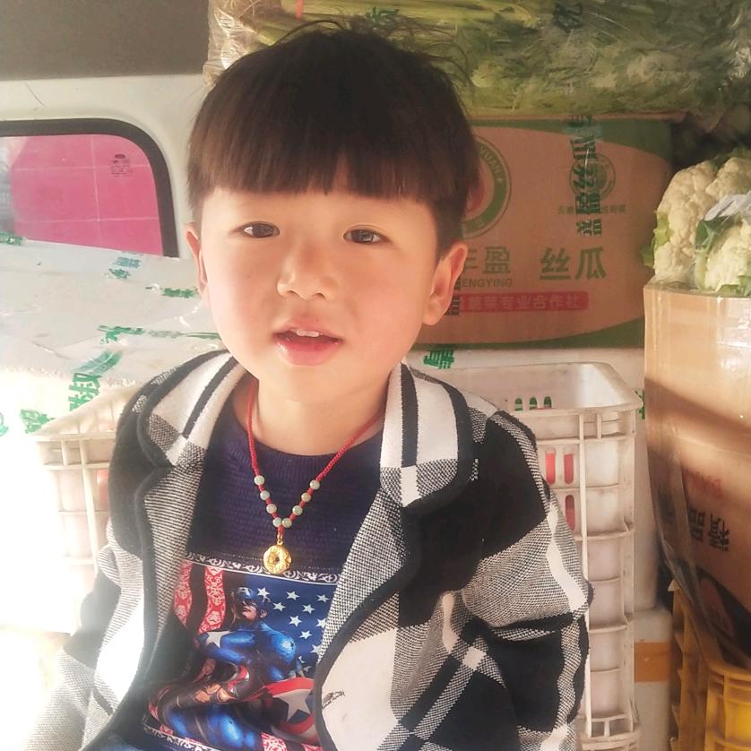 菜王🍅华仔