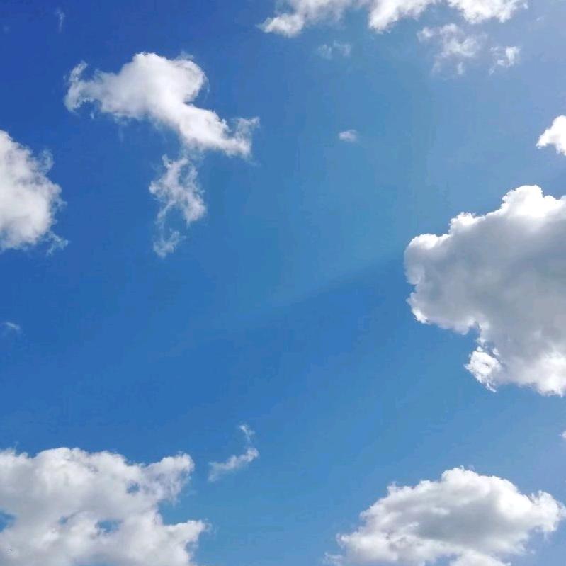 霏霏