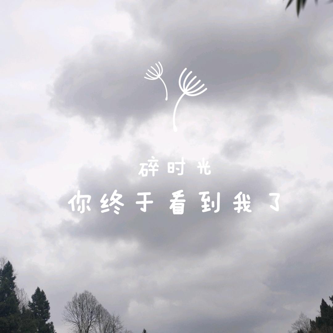 ℋ（玲）柠檬茴香酒ღ᭄