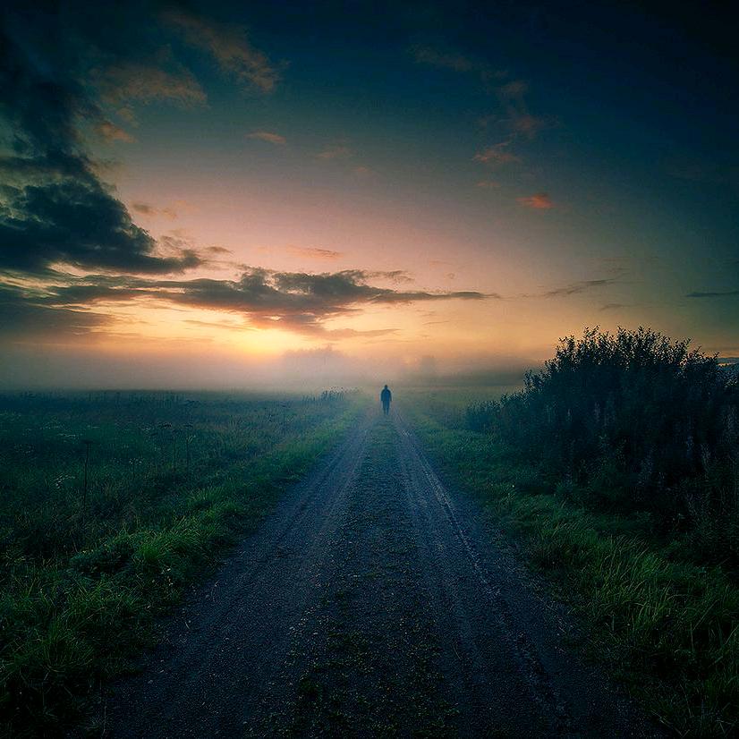 自在飞花轻似梦