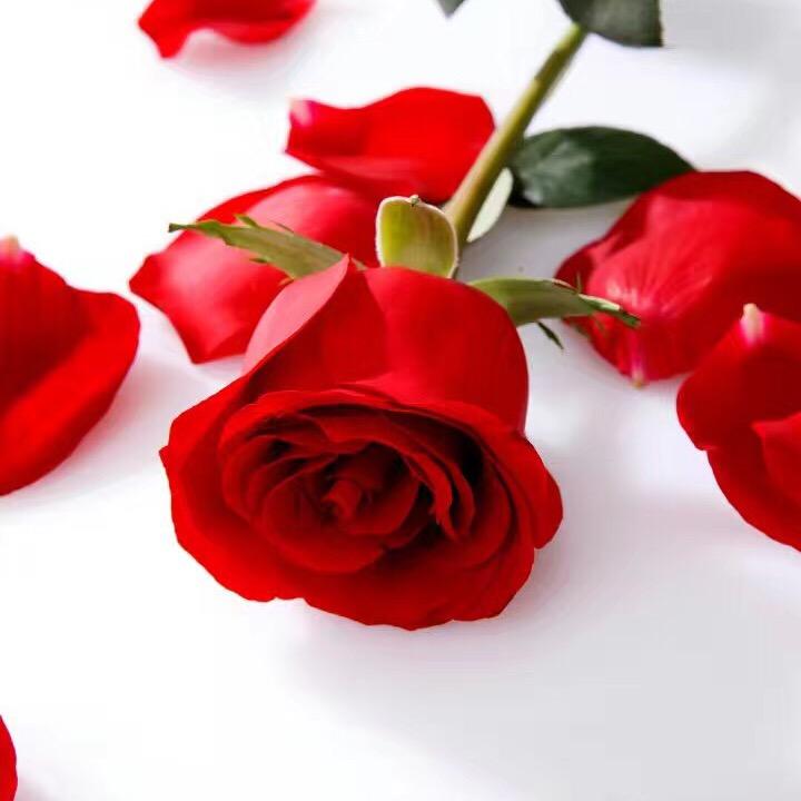 长葛君悦地产岳敏