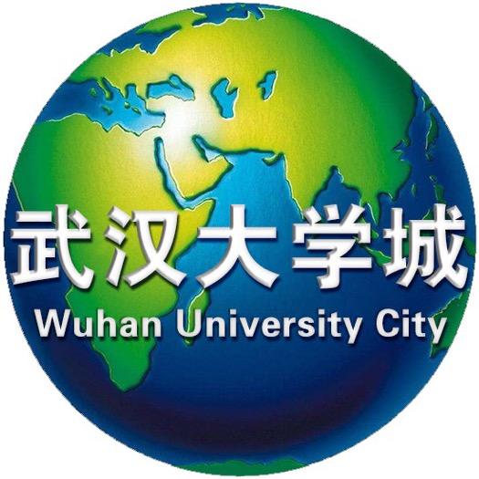 武汉大学城