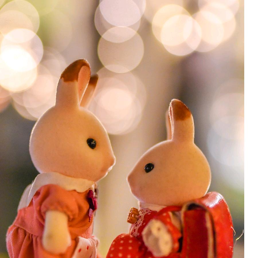 人间何所以，观风与月舒