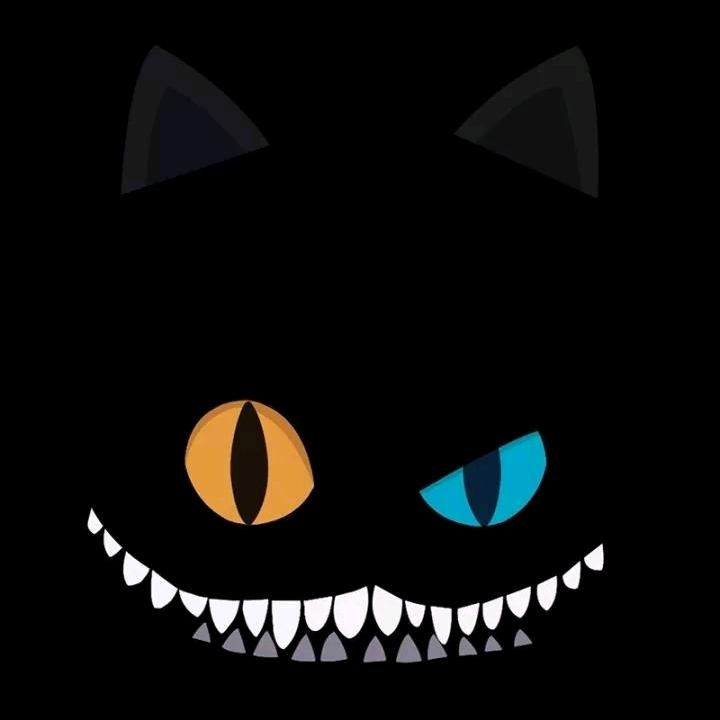 黑猫短视频