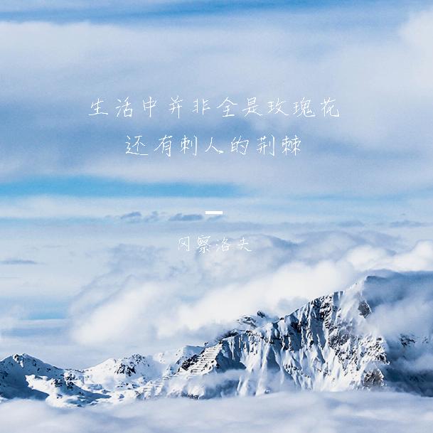 卓（越、感）恩