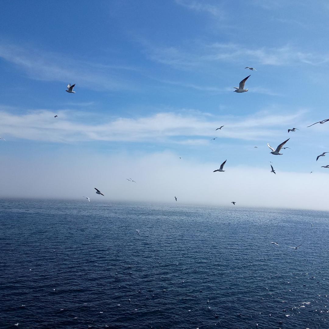 做一个勤快的人