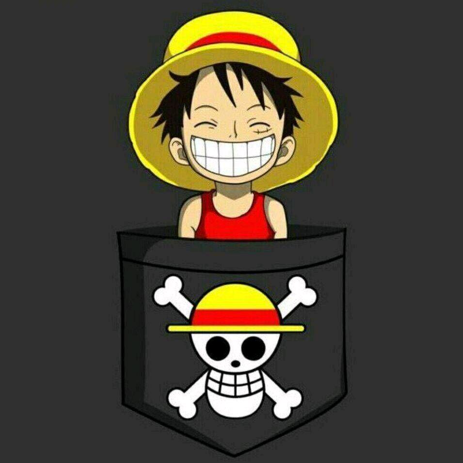 海贼王OP粉@抖音